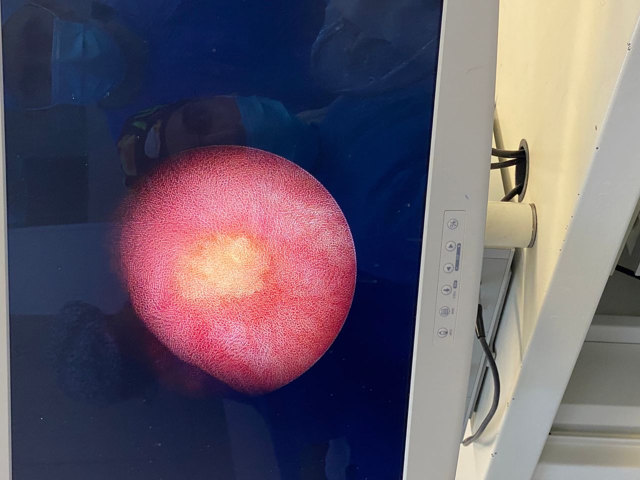 Jose Luis Sandoval Tamayo-0