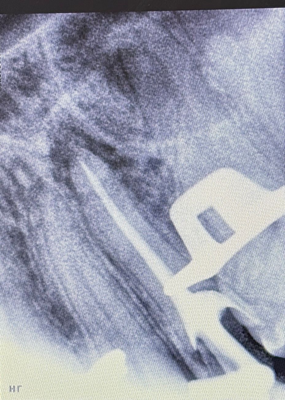 Gabriela Quezada Alanis-0