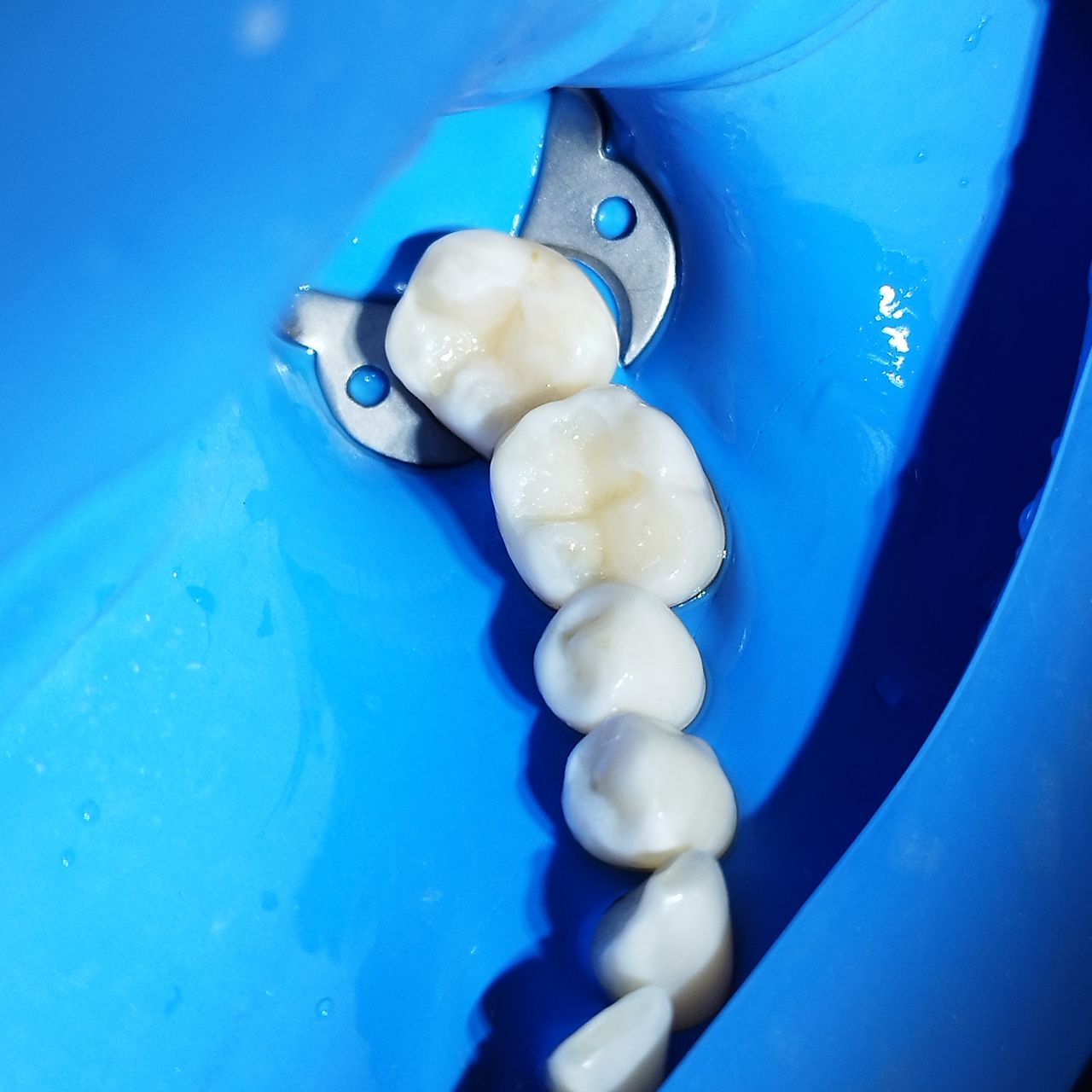 Maribel Domínguez G.-1