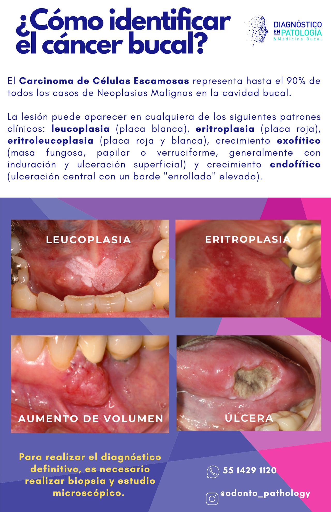 Jaqueline Rodríguez Hernández-23