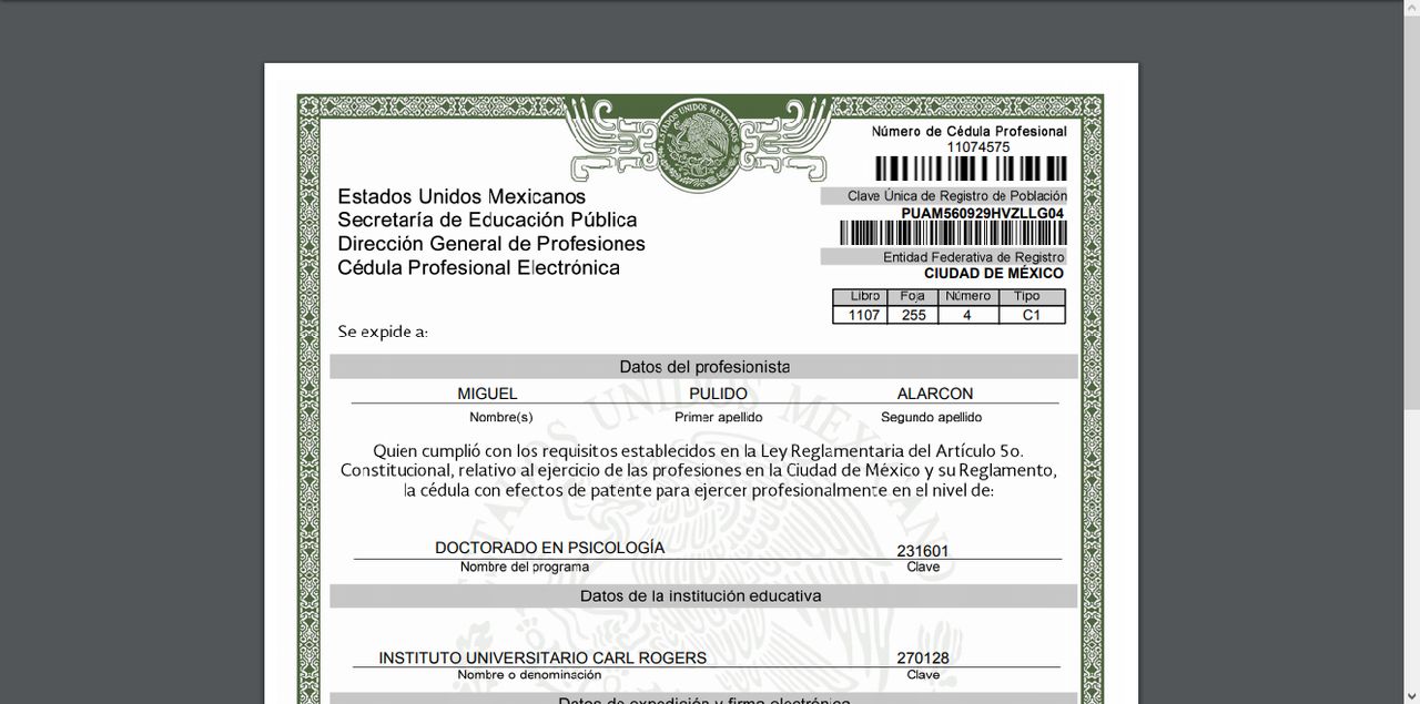 Miguel Pulido Alarcon-3