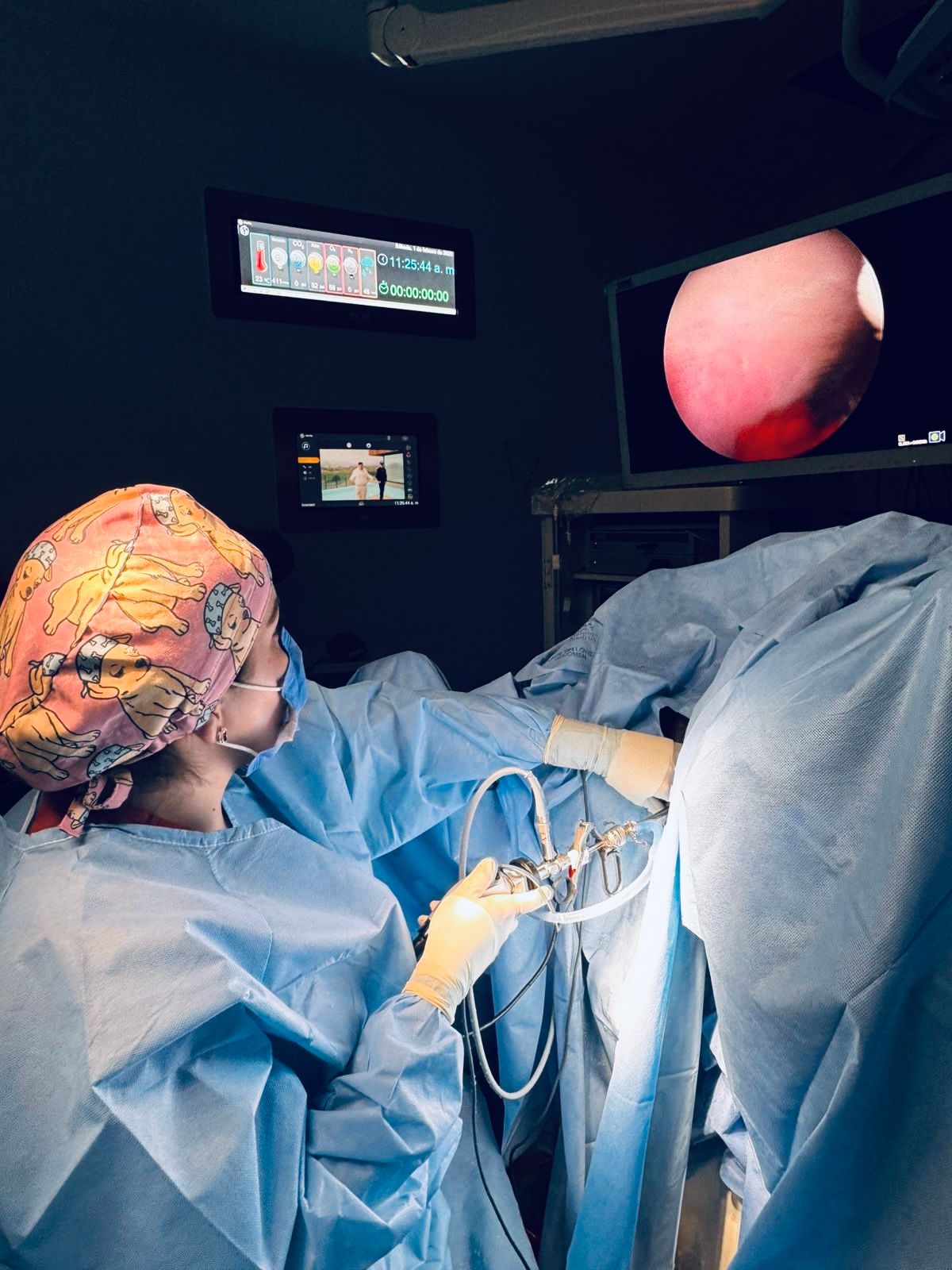 Diana Villicaña Guerrero-2