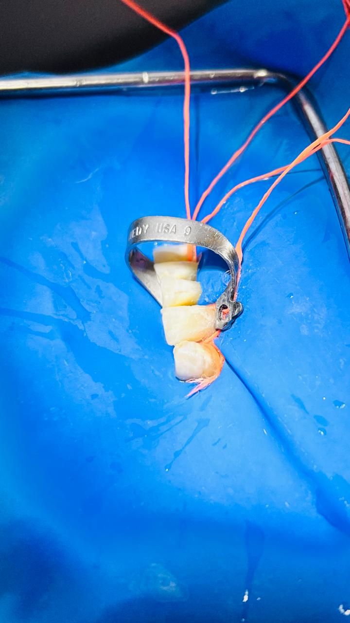 Rocio De La Aurora Carreón Vázquez-10