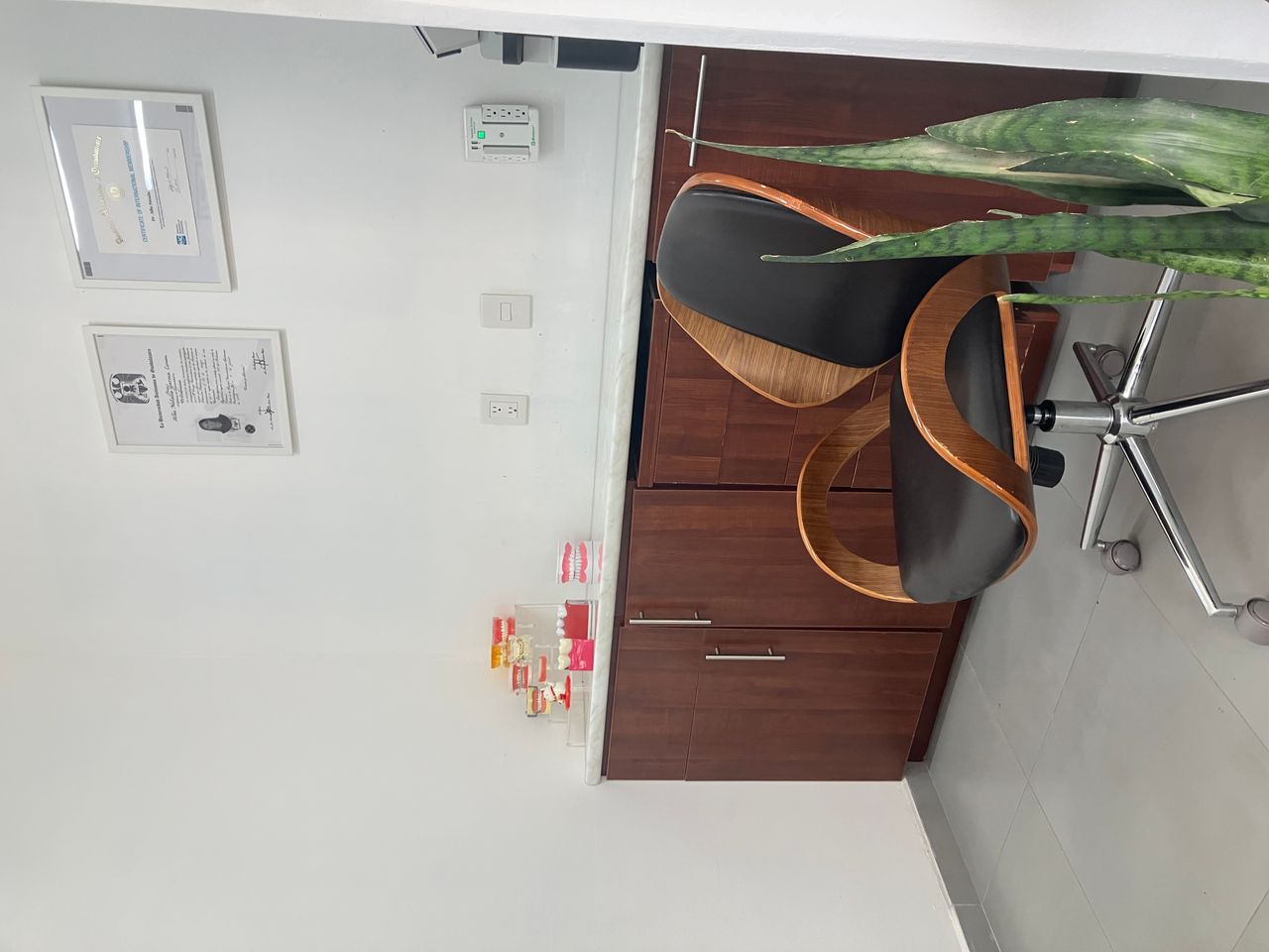 Alba Natalia García Limón-2