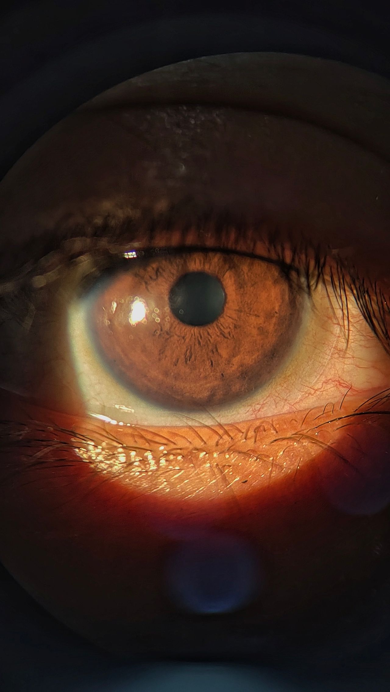 Arturo Mánuel García-2