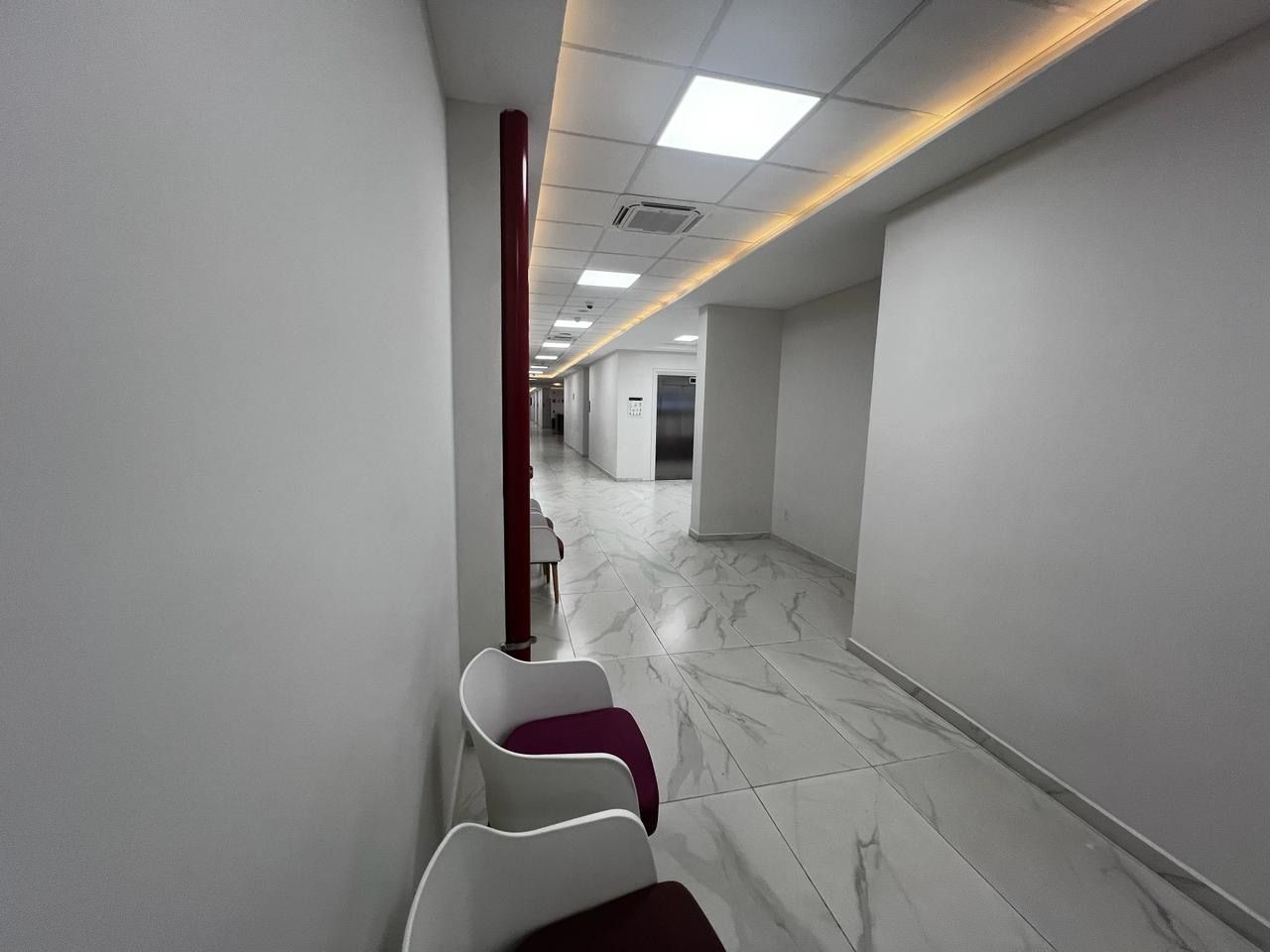 María Rebeca Martínez Martínez-2