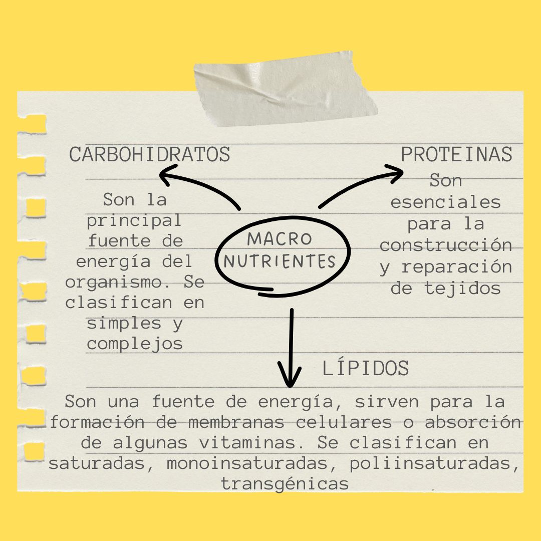 Manuel Josimar Hernández Castillo-11