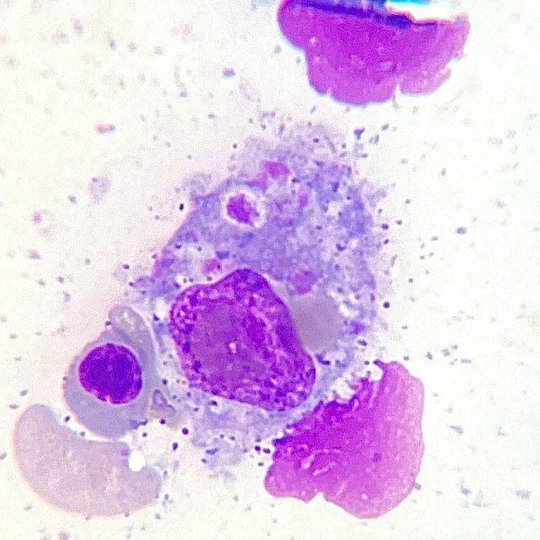 Sandra Guadalupe Pulido Sánchez-3