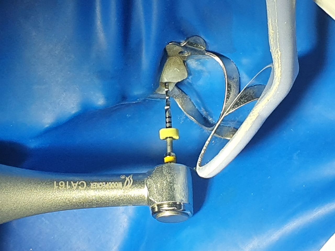 Fabiola Arcos Huesca-53