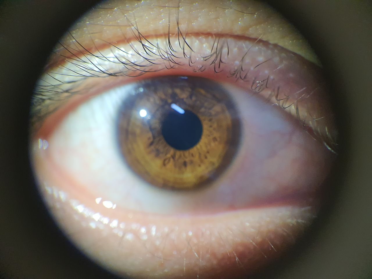 Erick Javier Ramírez Villa-6