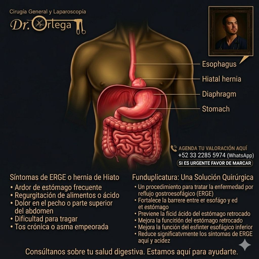 Jose Luis Ortega Gonzalez-4