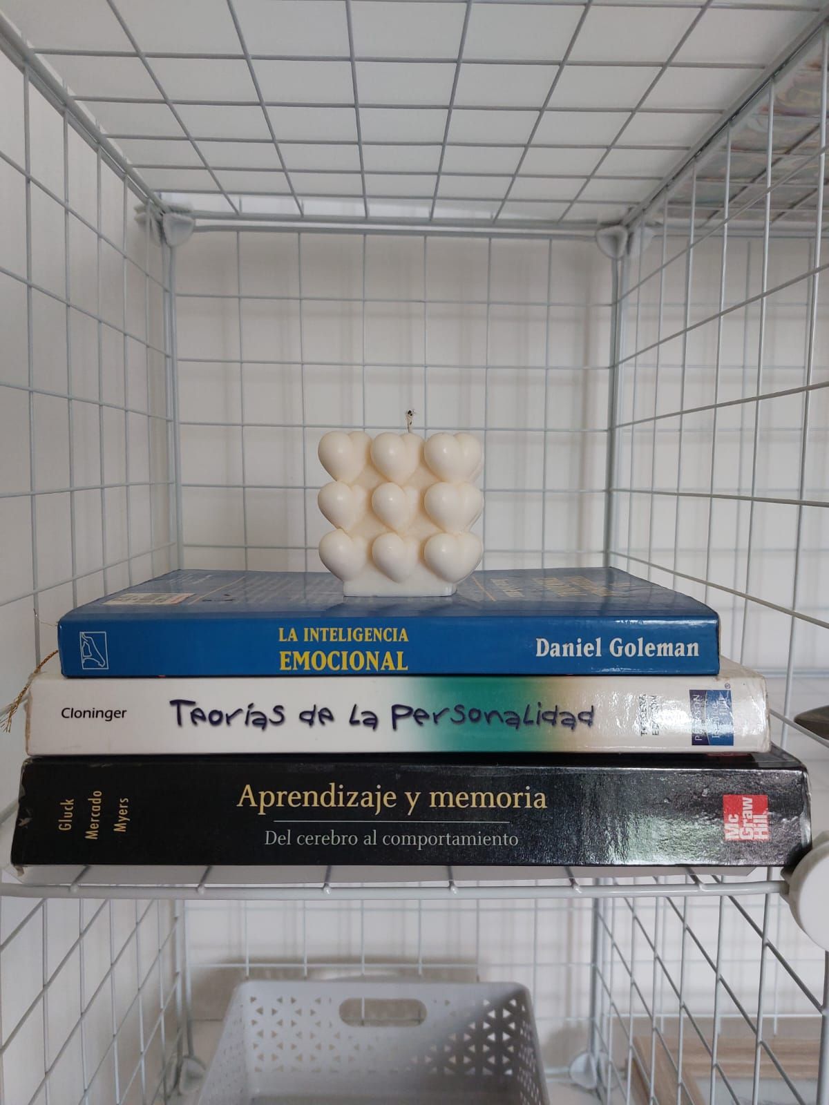 Maribel Jiménez Morales-1