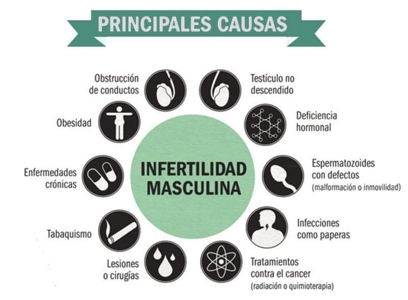 Francisco Vázquez Venegas-10