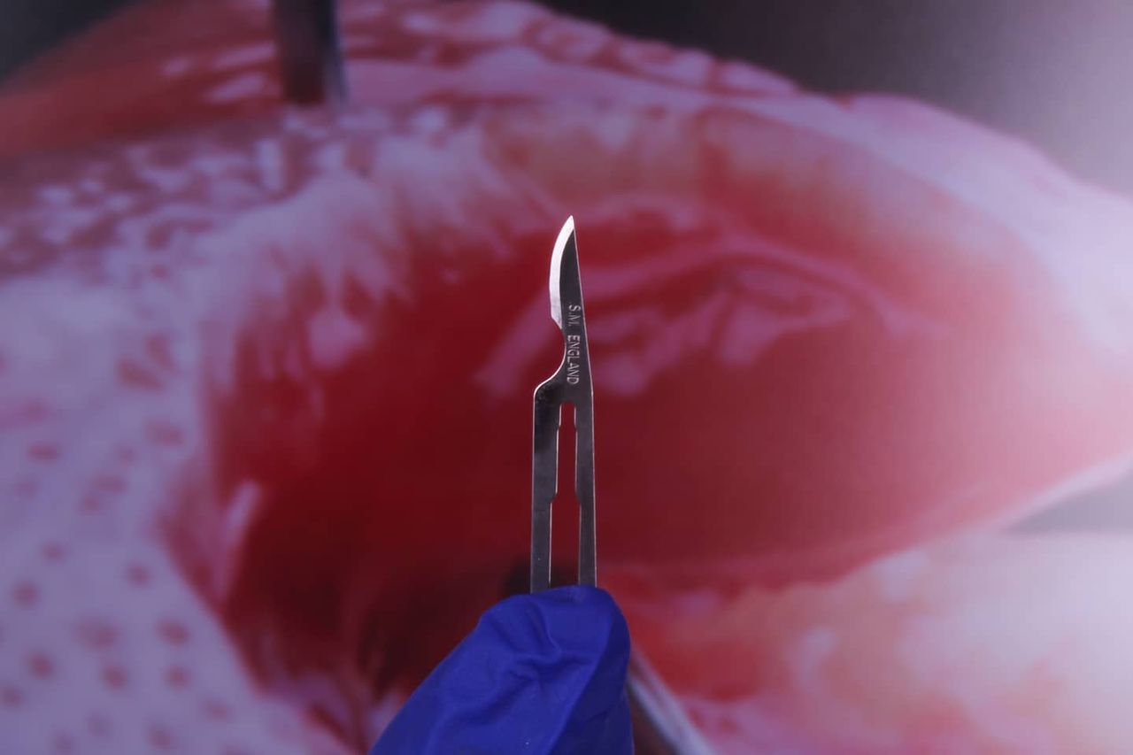 Hugo Enrique Aguilar Lamas-136