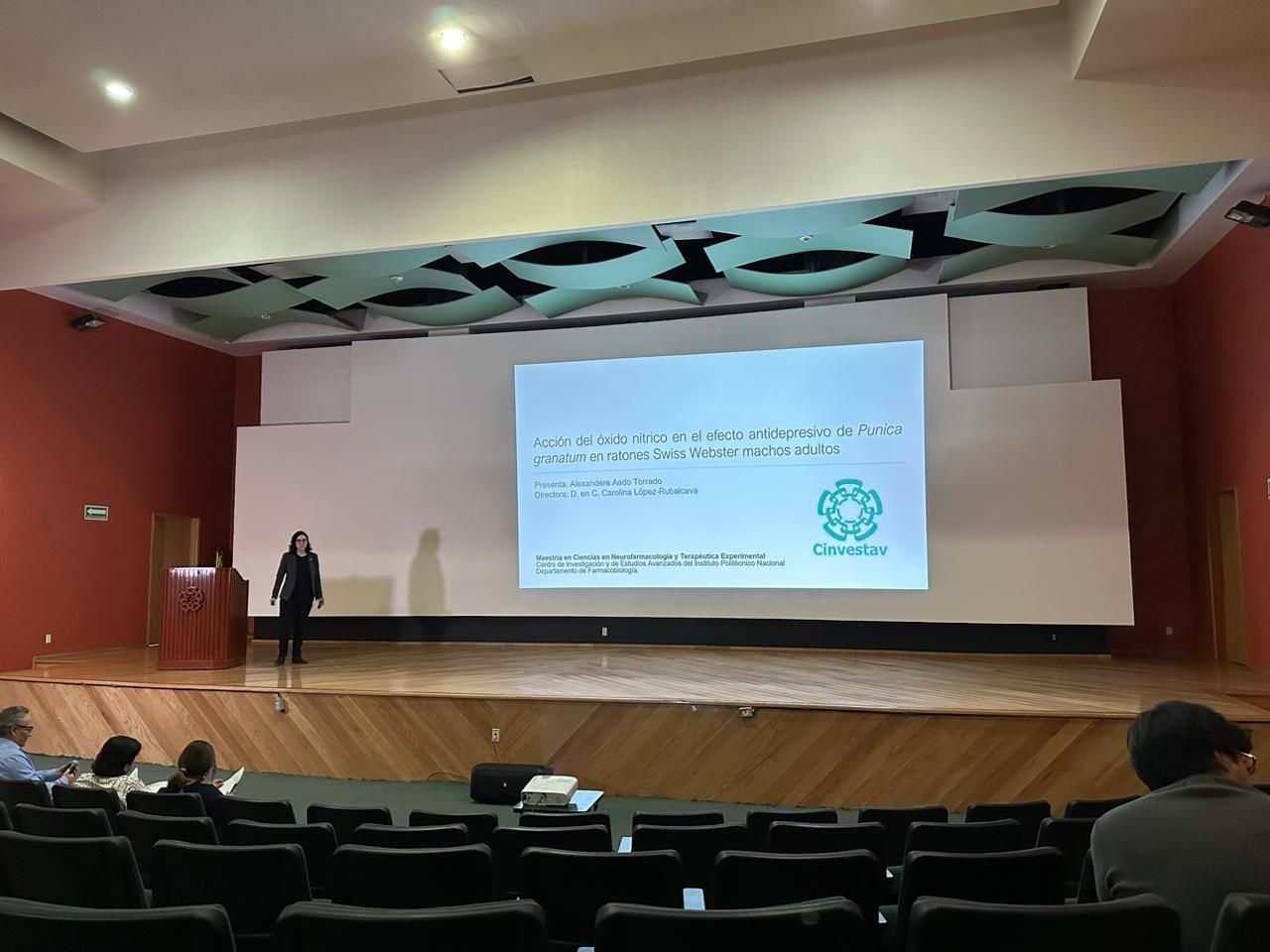 Alexandere Aedo Torrado-2