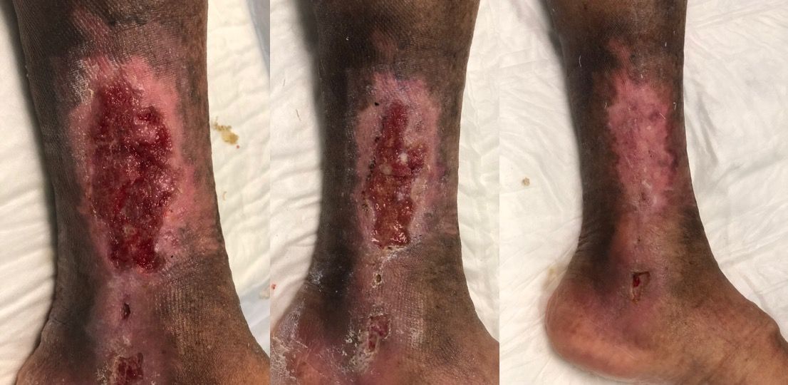 Rebeca Margarita Herrera Llamas-3