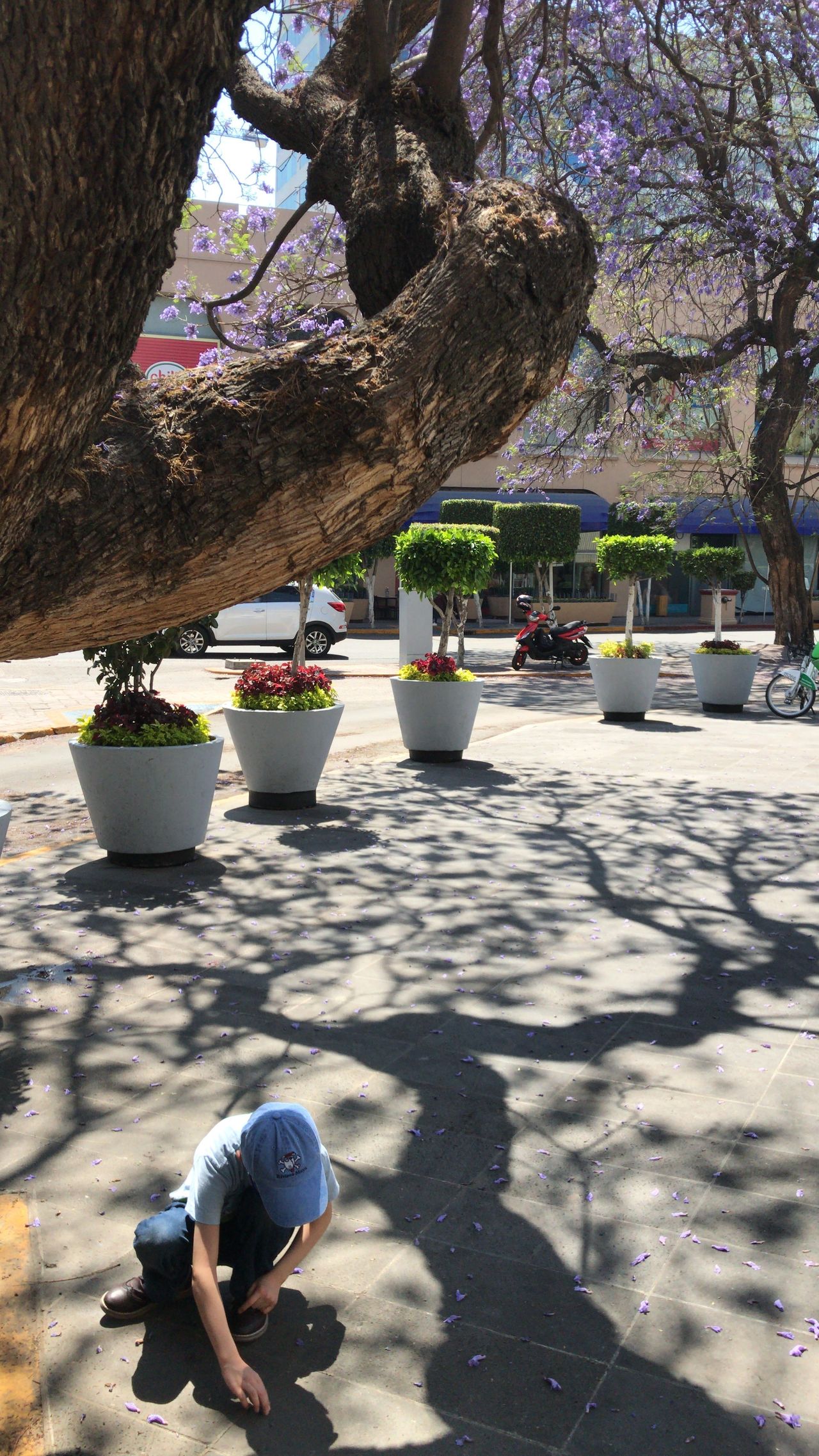 Horacio Contreras Colín-6