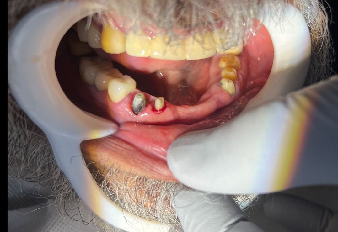 Alfredo Meléndez Rodríguez-5