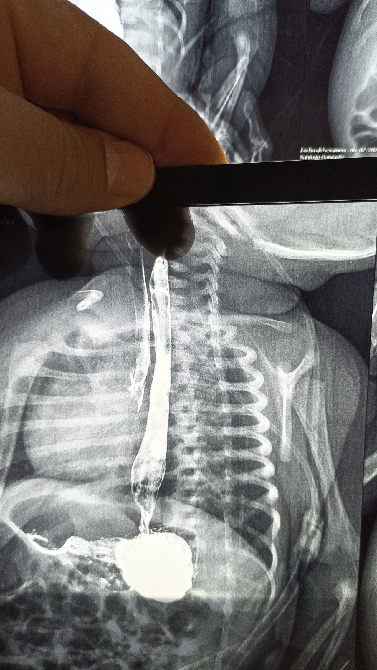 Luis Octavio Flores Romo-1