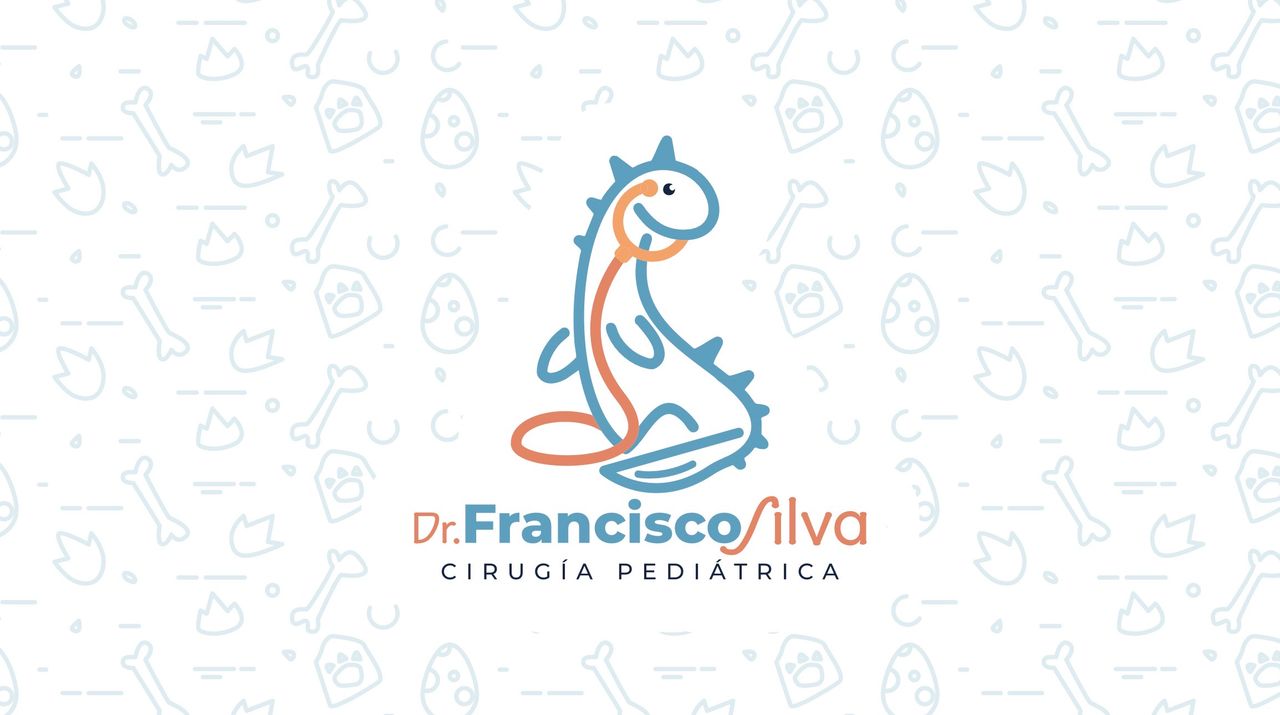 Francisco Javier Silva Rivera-0