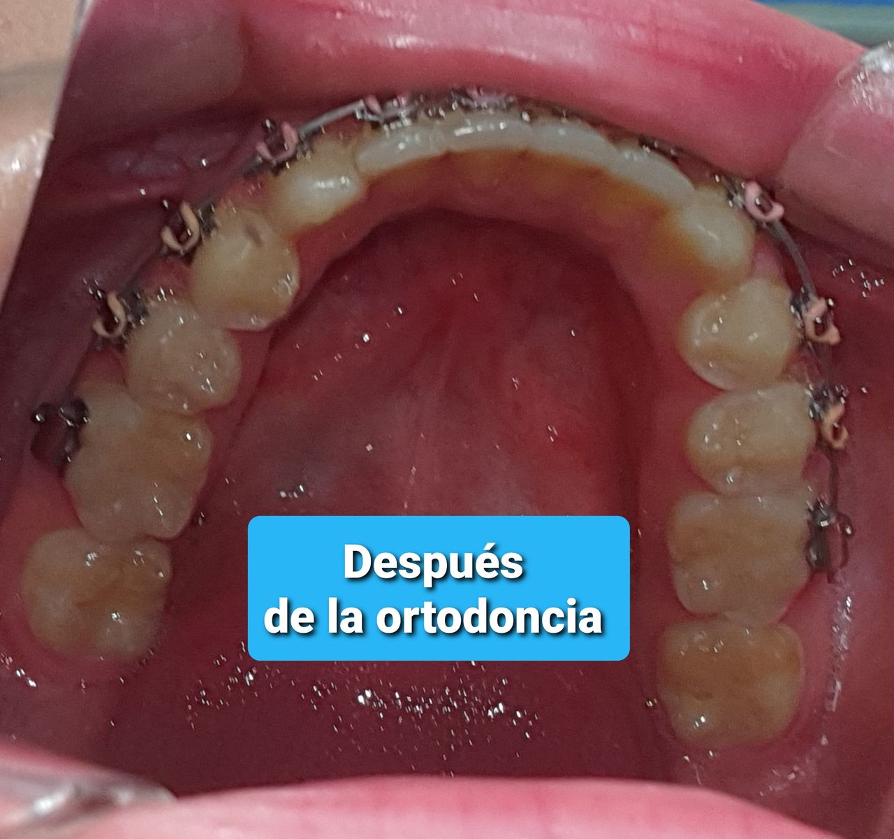 Mónica Bridgette Guerrero Martínez-135