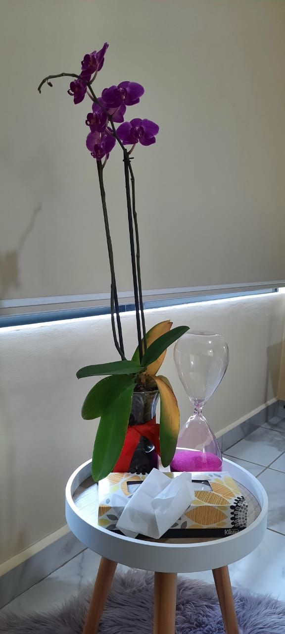 Elvira Nohemí Ponce Ramos-21