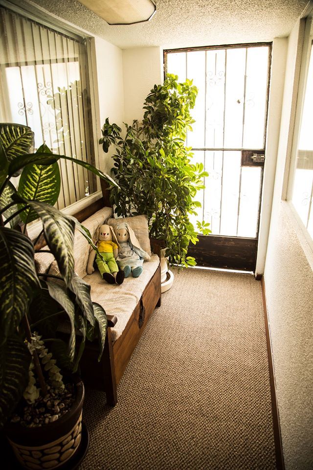 Alejandra Hernández G.-11