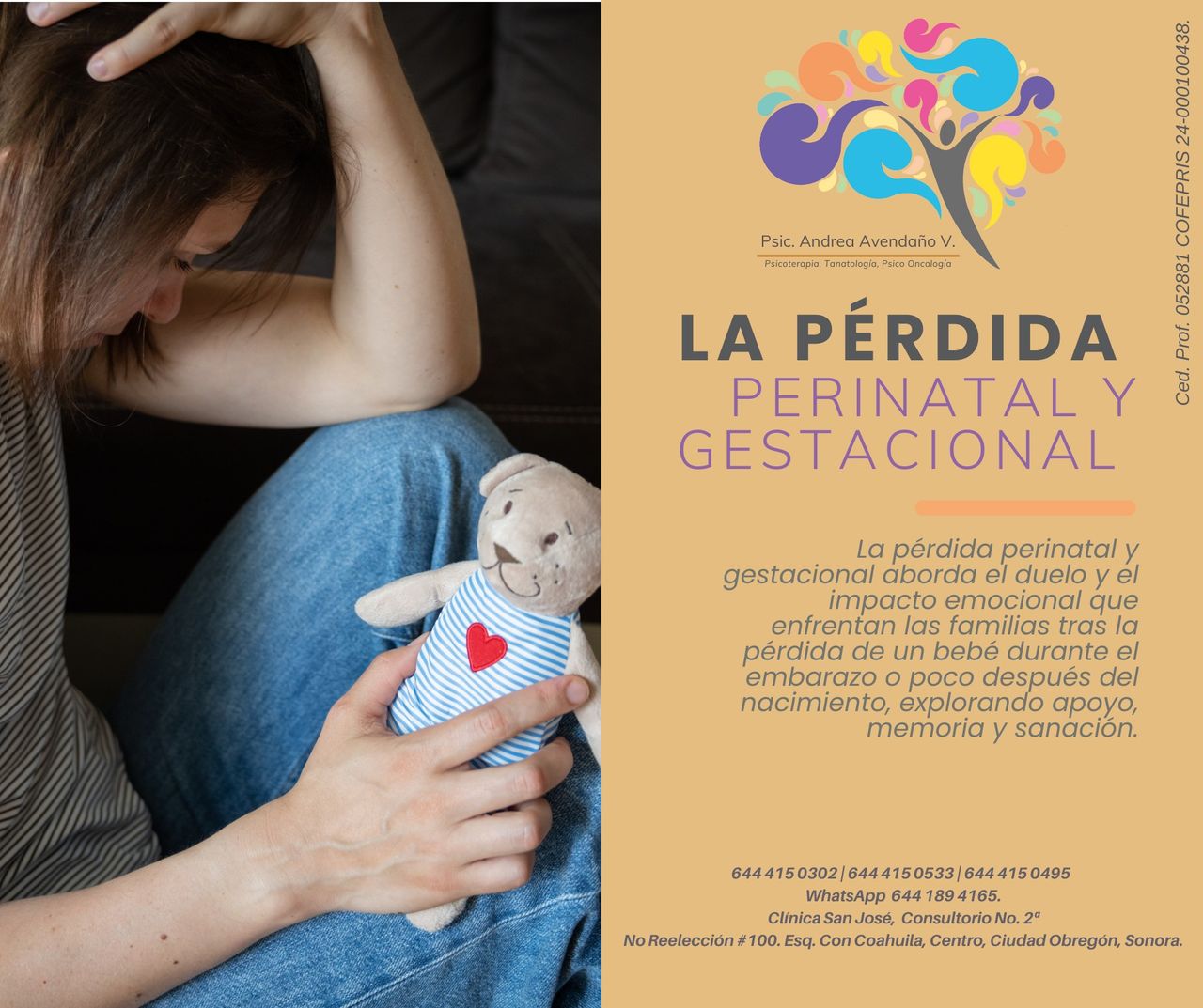 Andrea Alejandra Avendaño Valenzuela-8