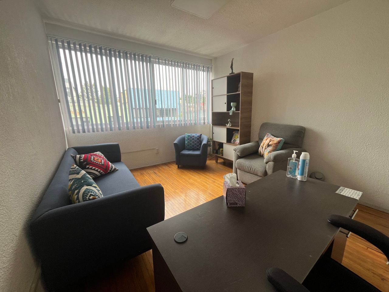 Ana Rebeca Juárez Castañeda-3