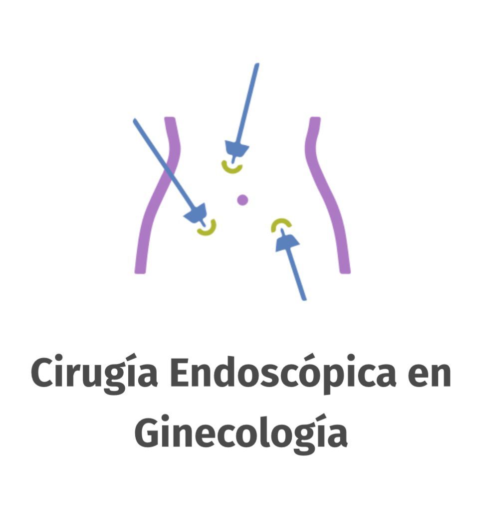 Leticia Esperanza Burgos Mora-7