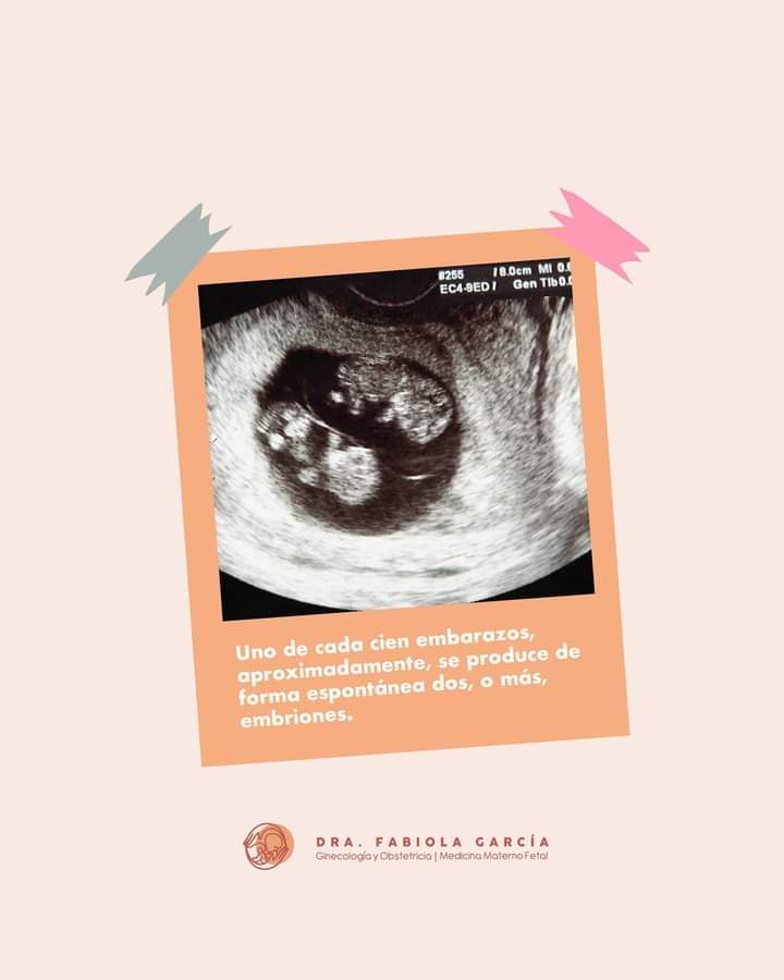 Fabiola Elizabeth Garcia Padilla-4