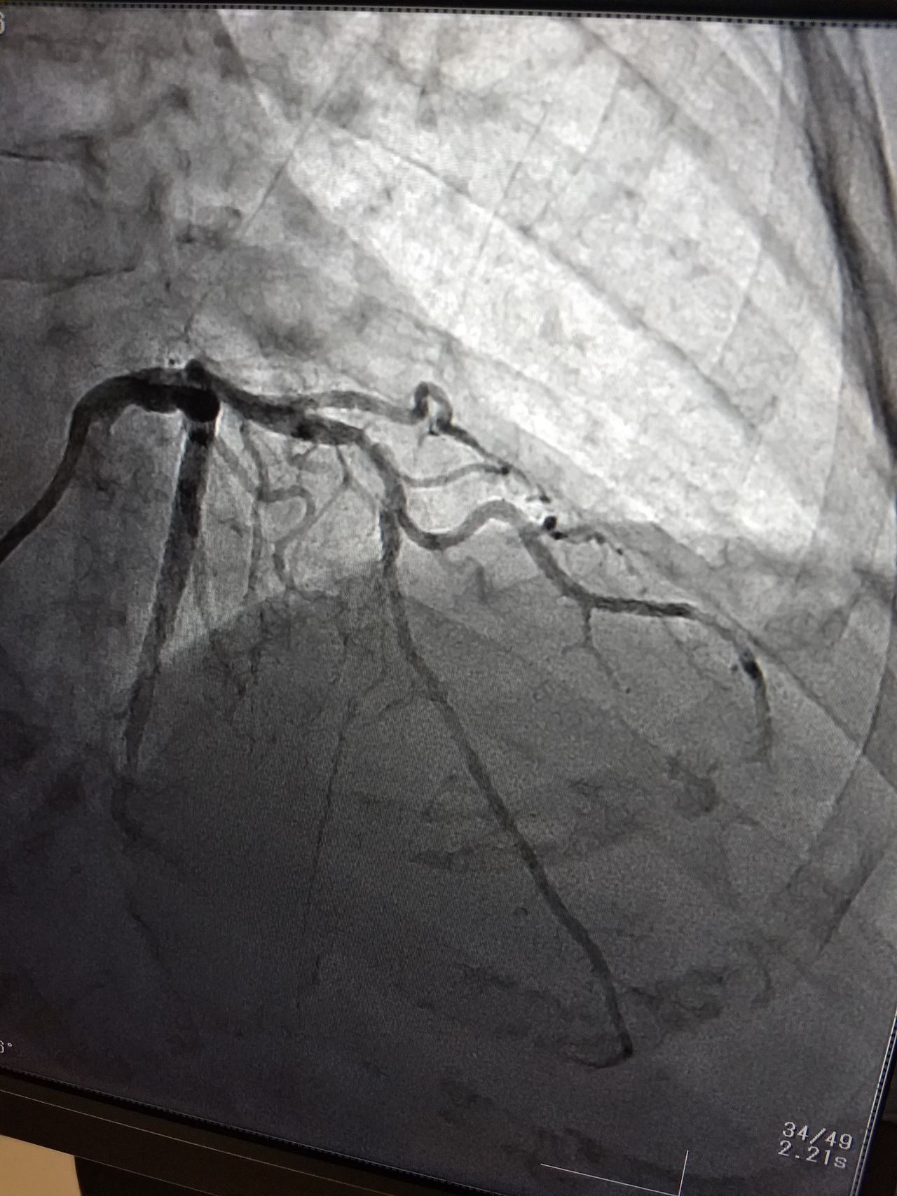 José Eduardo Jiménez Viveros-1