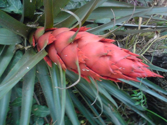 Horacio Contreras Colín-30