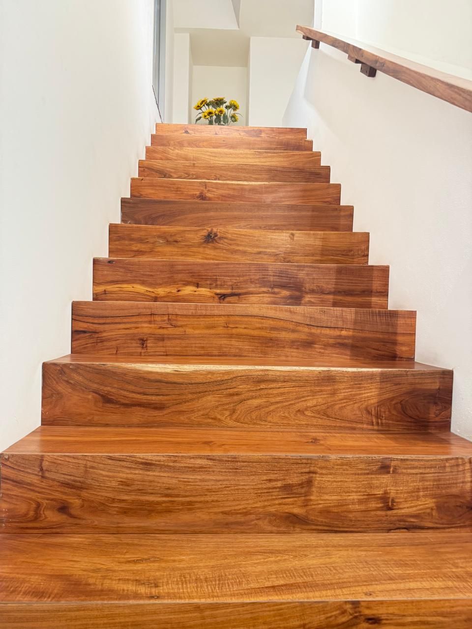 Miguel Galindez Negron-3