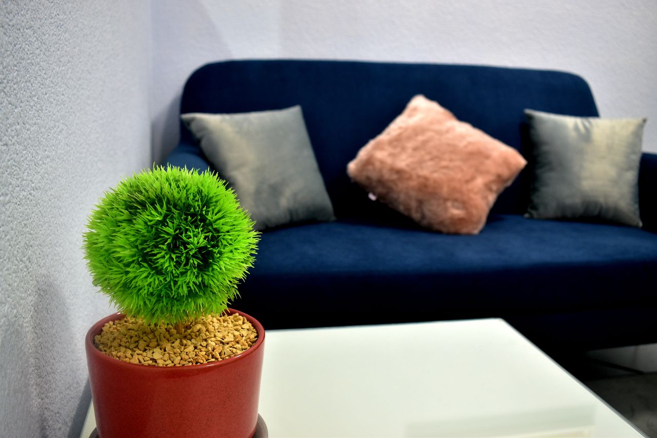 Elizabeth Hernandez Arevalo-0