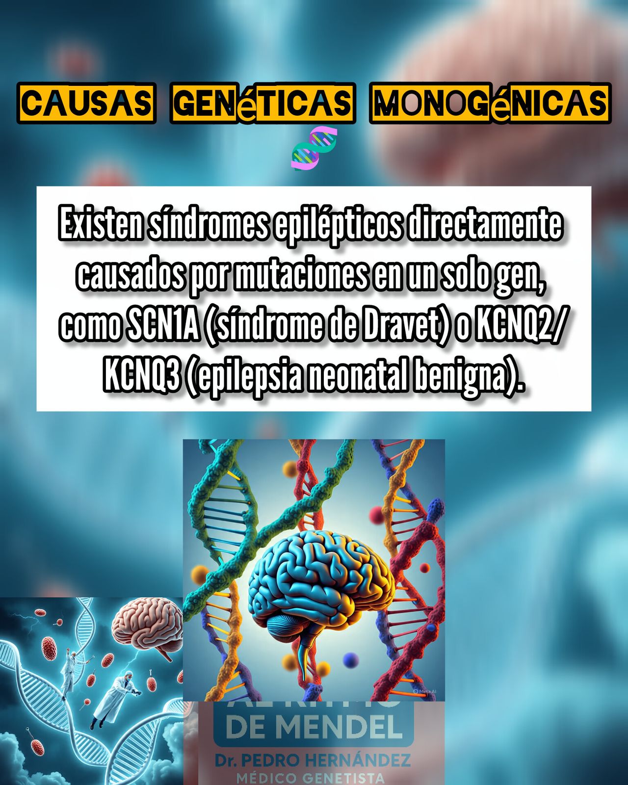 Pedro Luis  Hernández Lima -8