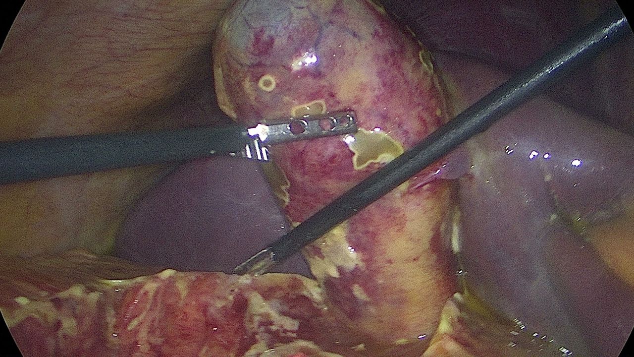 Francisco Javier Lopez Cabral-5