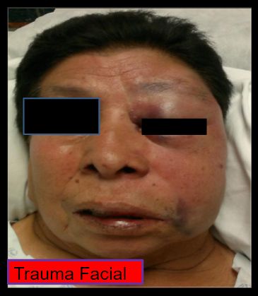 Diana Araceli Dávila Hernández-10