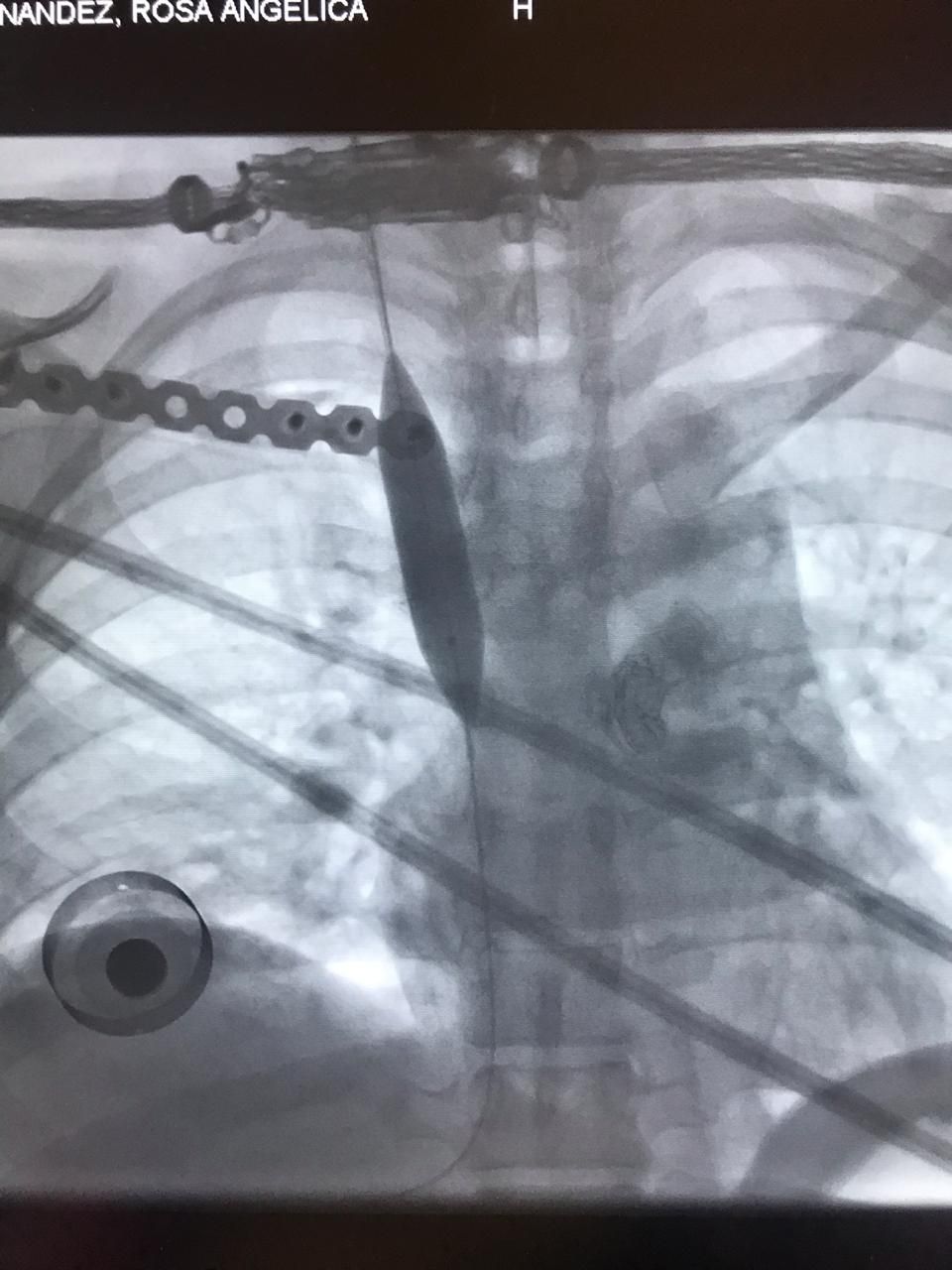 Davinia Elizabeth Sámano Saucedo-3