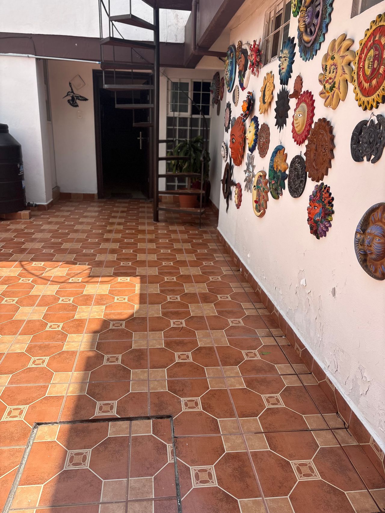 Aimeé Peredo Llaguno-6