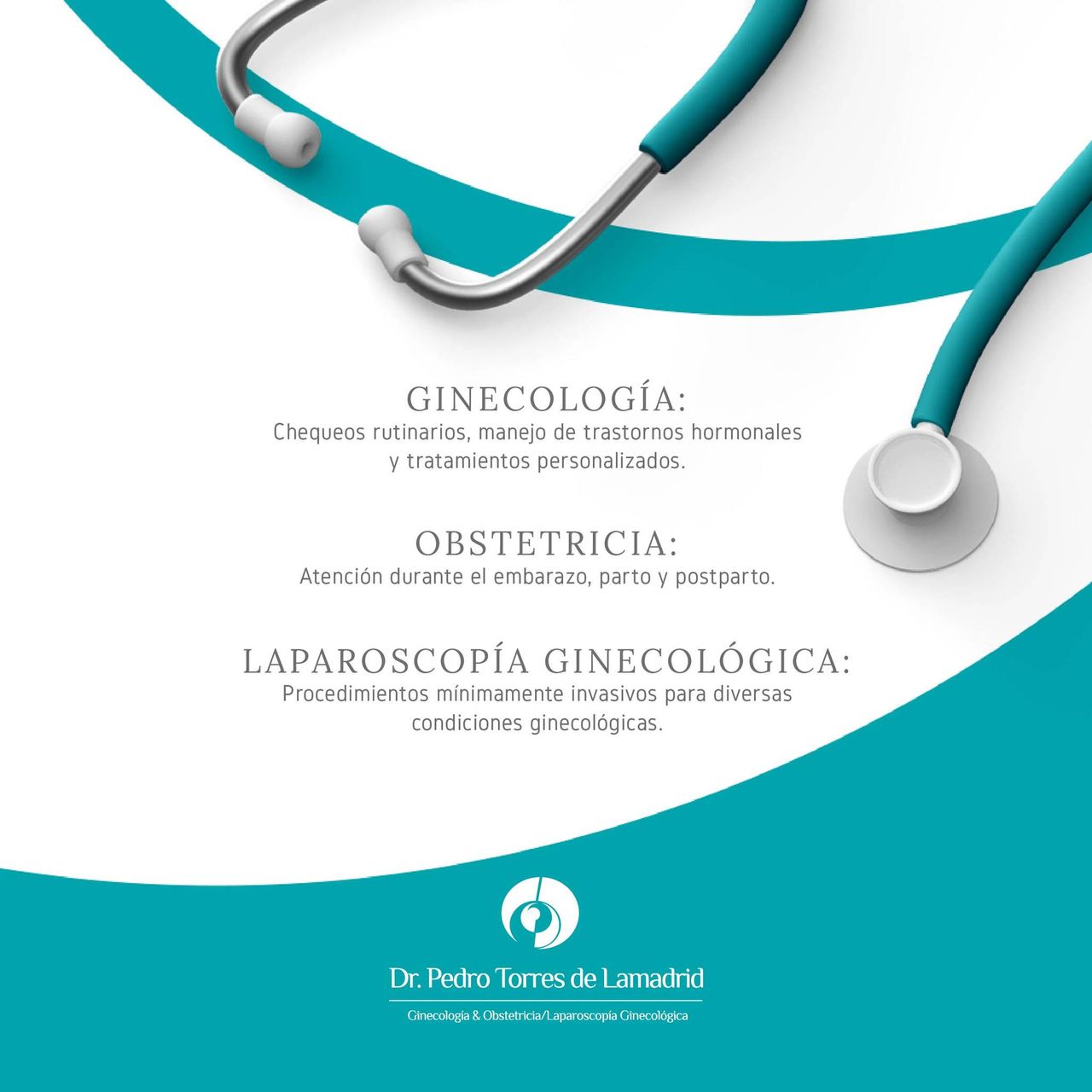 Pedro Alfonso Torres De Lamadrid-2