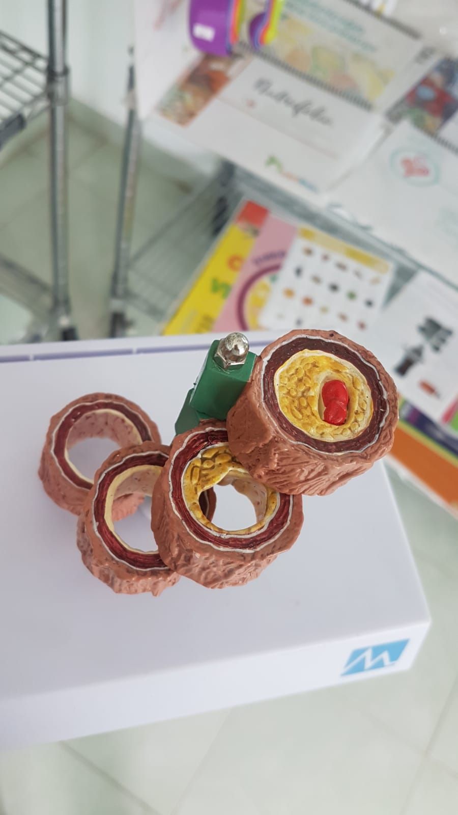 Isianel Delgado Martínez-1