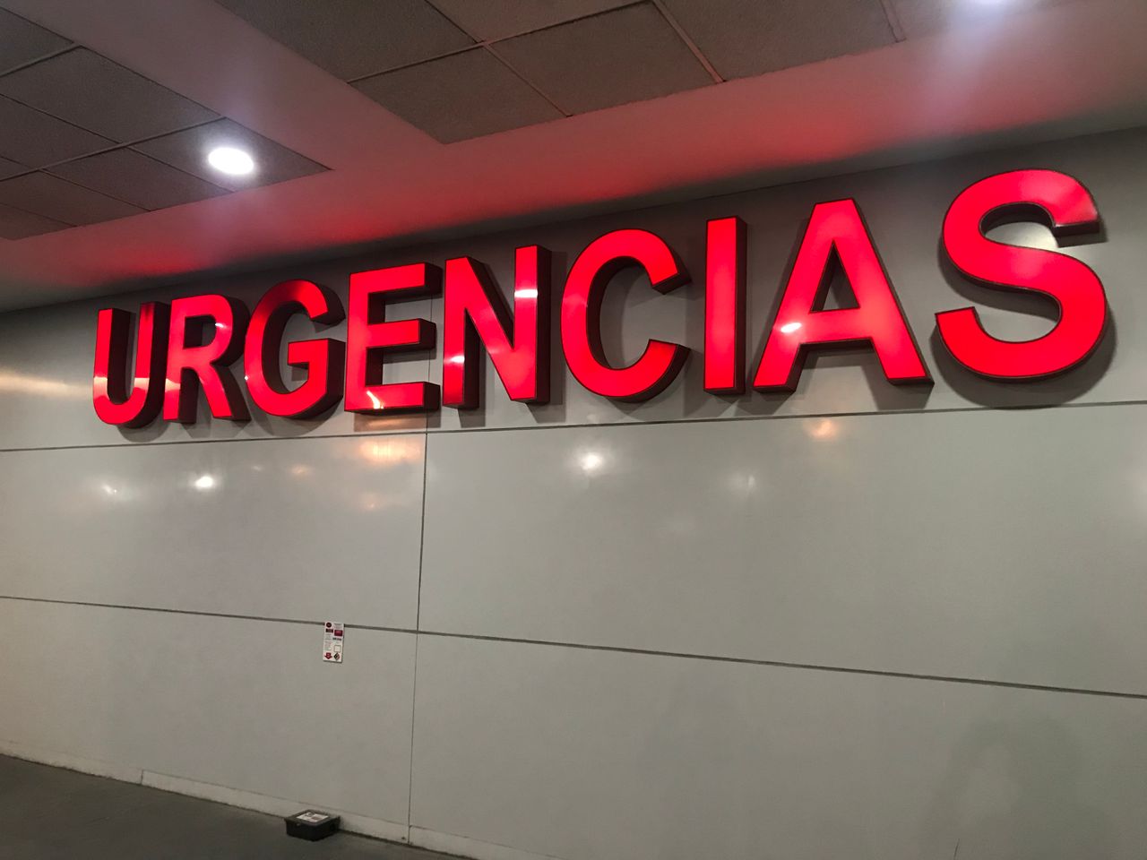 Carlos Damián Palafox Vidal-8