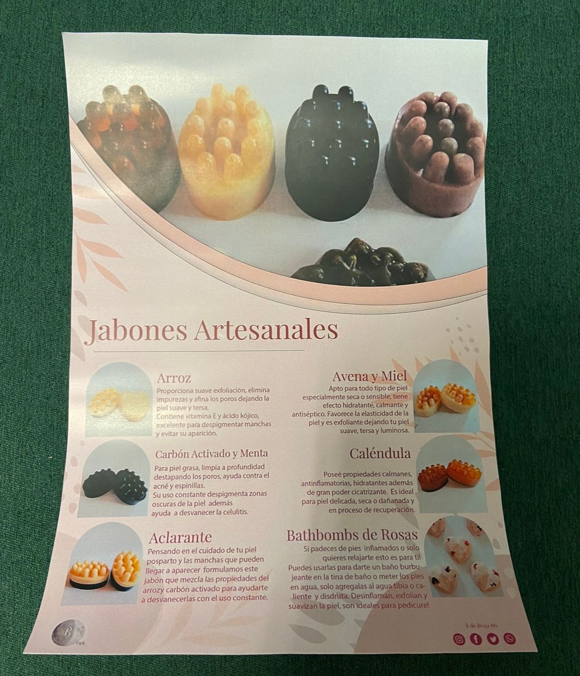 Brenda Lisset Briones Bernal-0