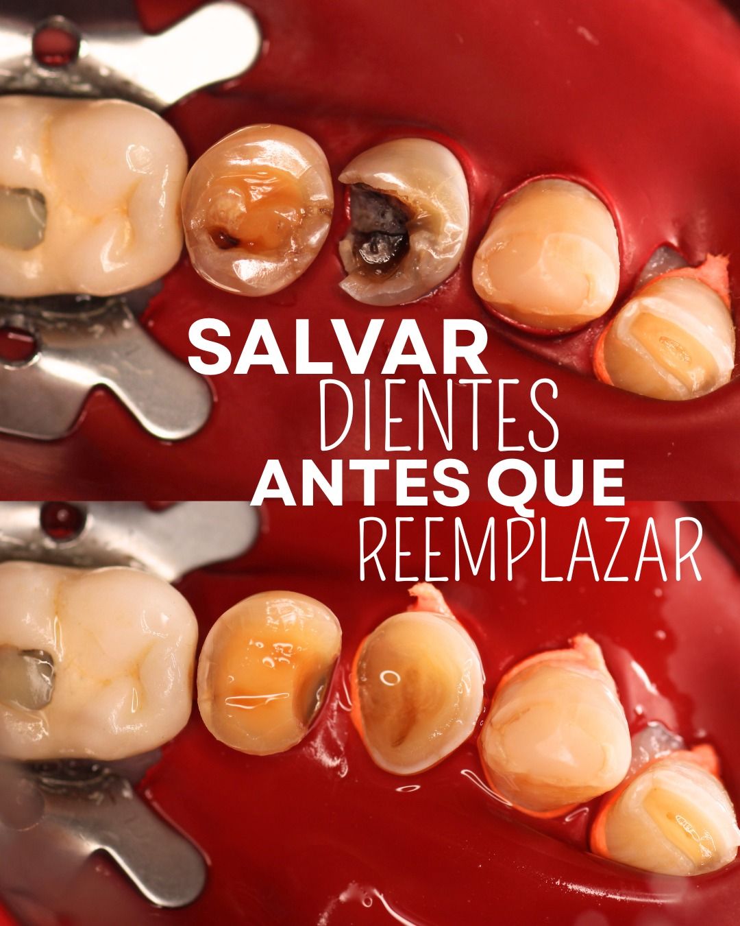 Abigail Ruiz Ramírez-1