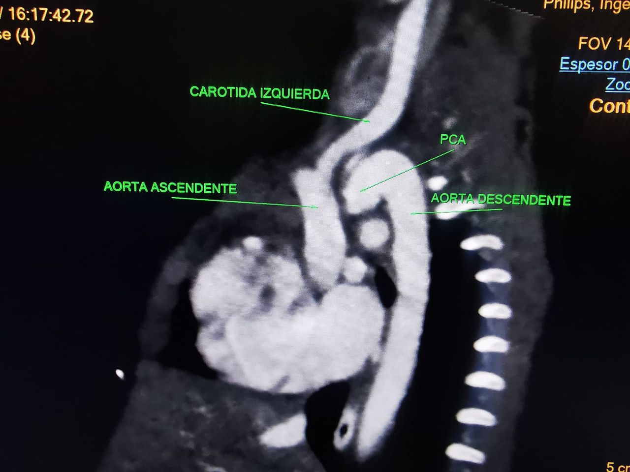 Vanessa Cruz Rodríguez-11