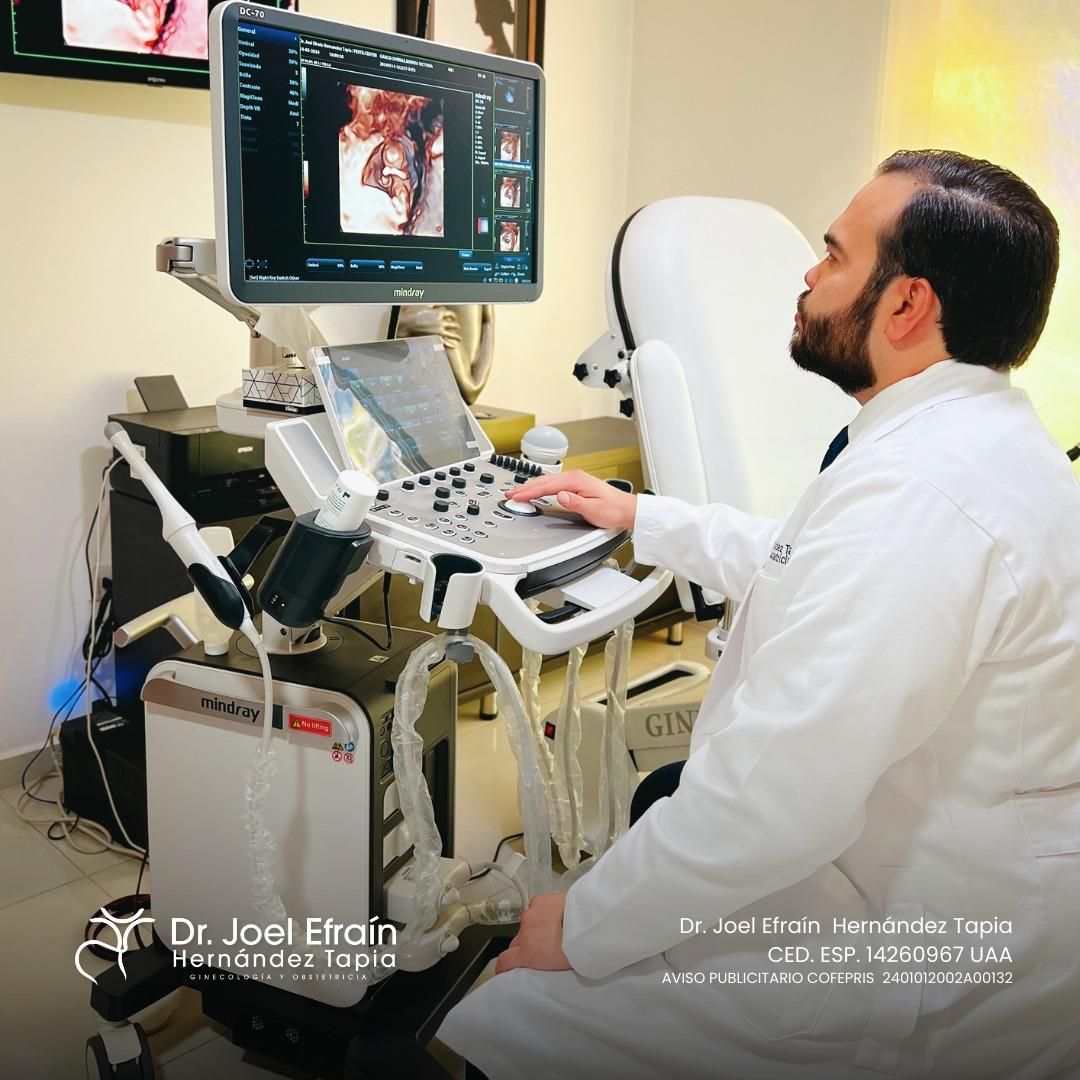 Joel Efraín Hernández Tapia-8