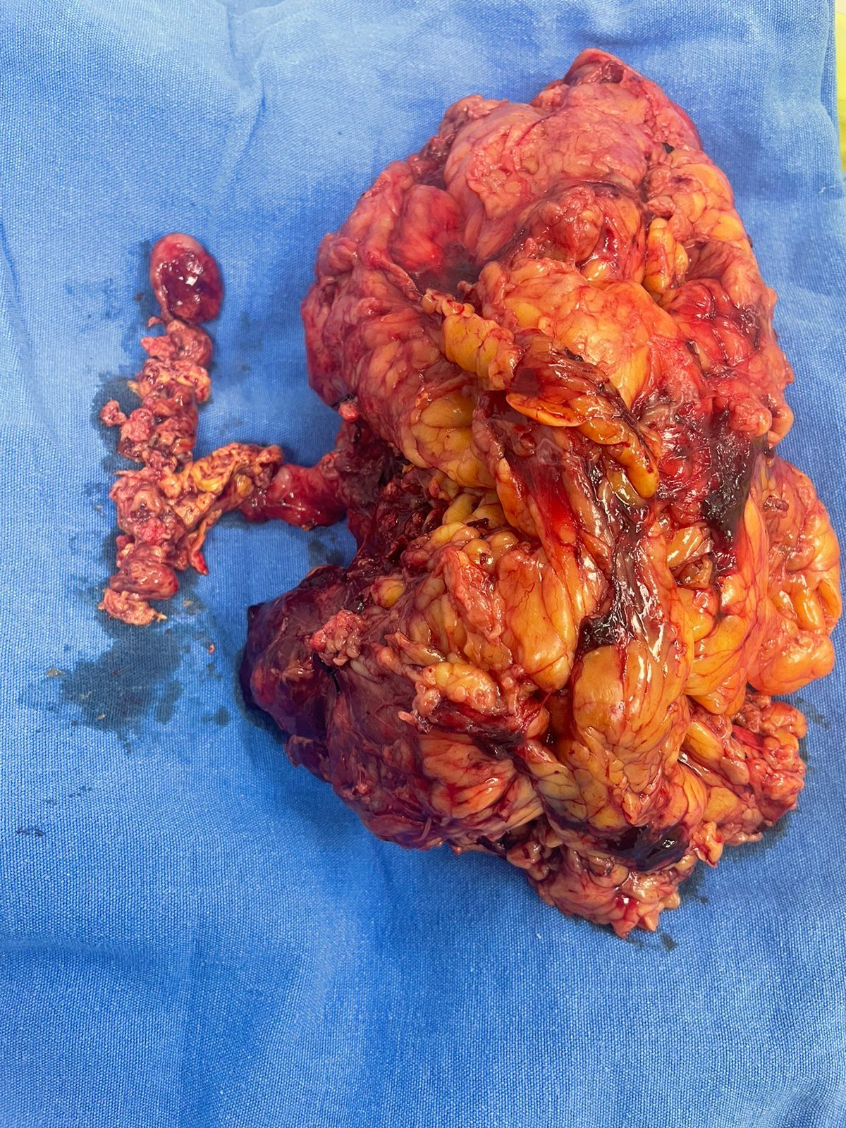 Juan De Dios Hernandez Hidalgo-3