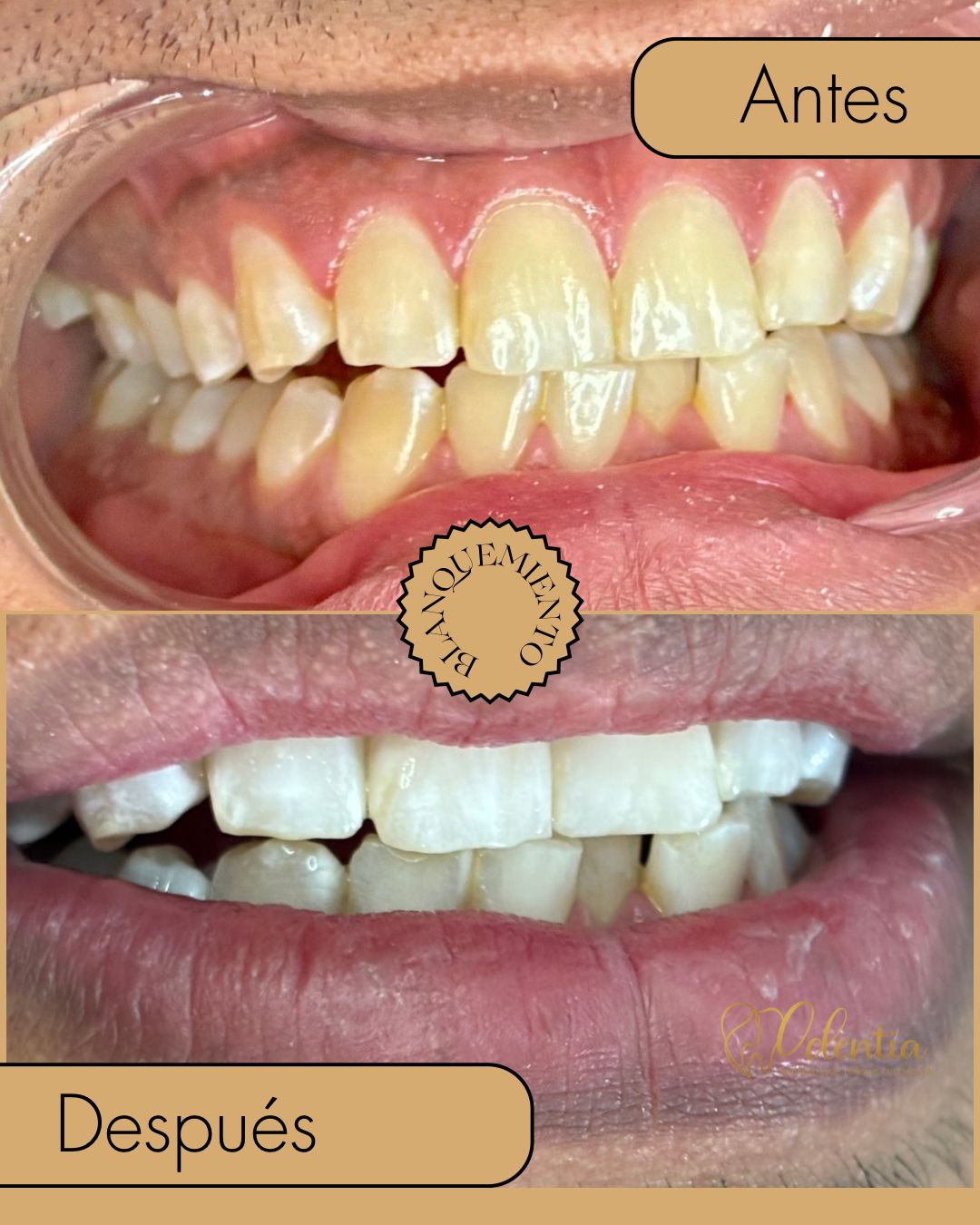 María Guadalupe Moreno Valencia-11