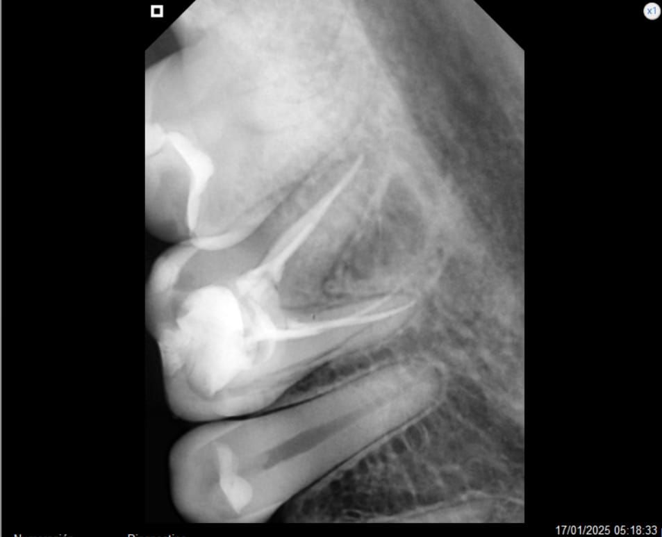 Leonardo Hernández Fernández-9